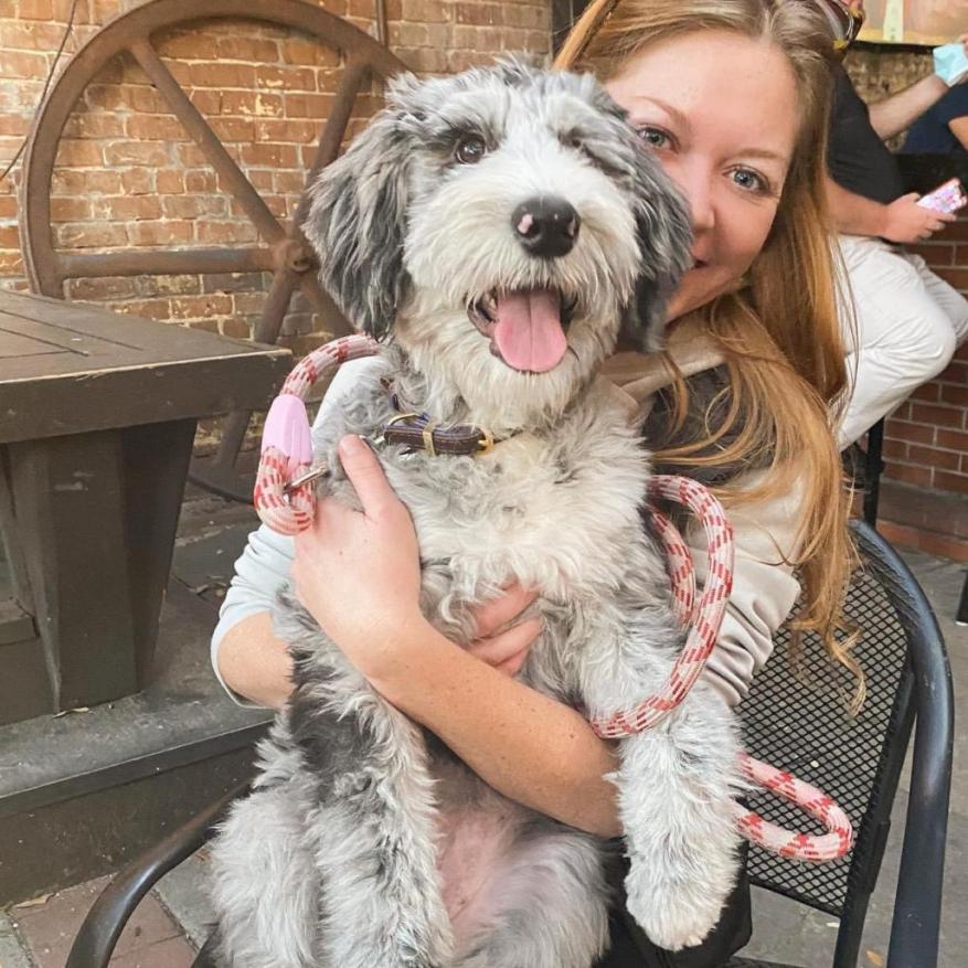 Darla - 5 months old (Cricket x Ridge)