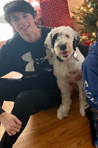 Moose-6 months (Gloria x Buster)